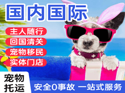 韶关空运地址国际宠物托运 【国